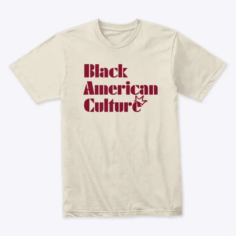 Black American Culture 